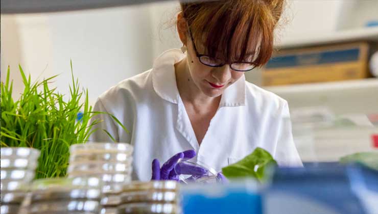 A scientist in a lab coat inspects material